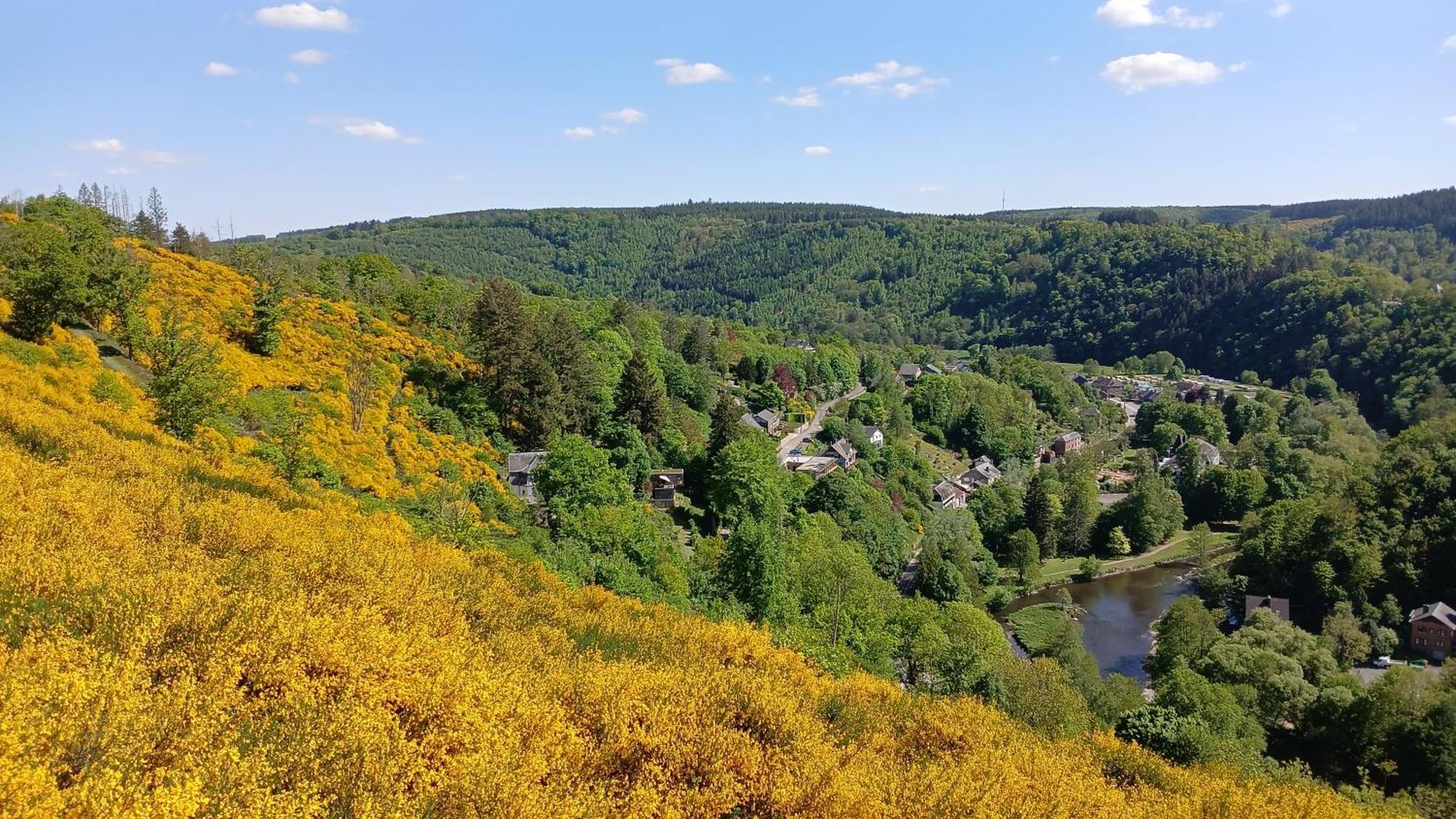 L'Abri Leilighet La-Roche-en-Ardenne Eksteriør bilde