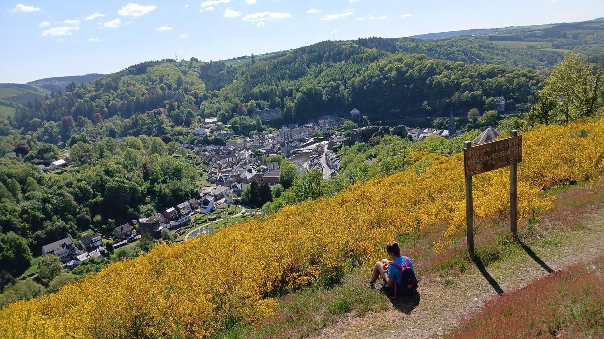 L'Abri Leilighet La-Roche-en-Ardenne Eksteriør bilde